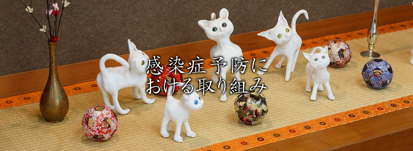 感染症予防における取り組み